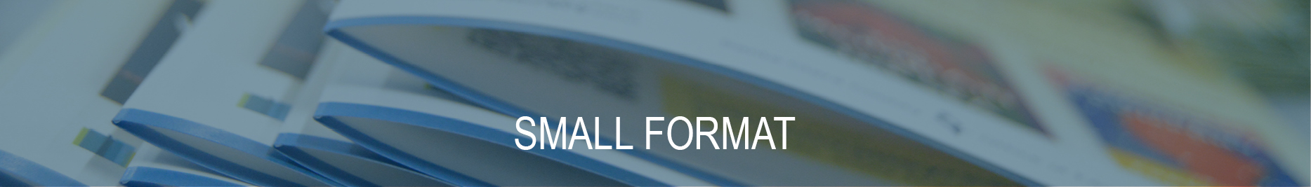Small Format Section